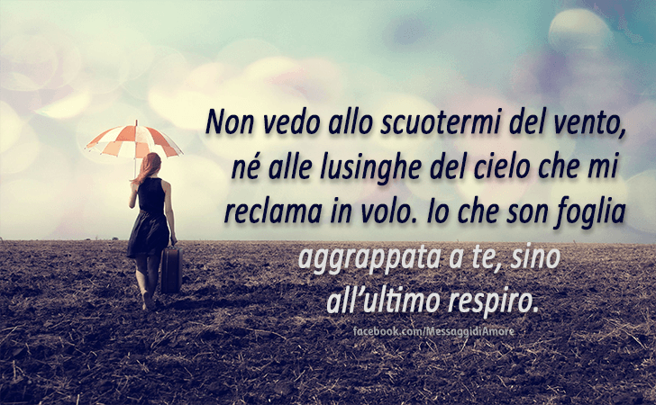 Non vedo allo scuotermi del vento, ne alle lusinghe del cielo che mi reclama in volo. Io che son foglia aggrappata a te, sino all'ultimo respiro. (Messaggi d'Amore, Frasi e Immagini)