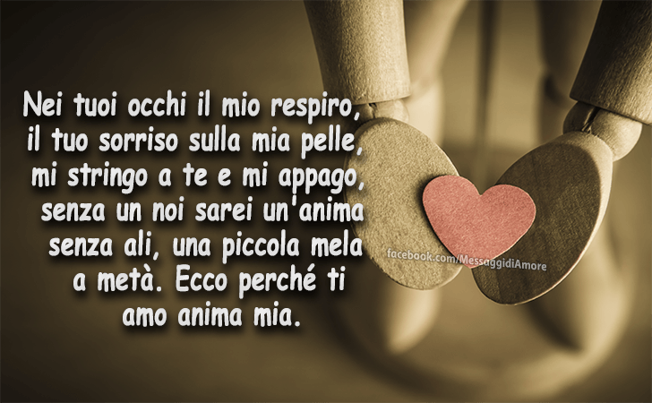 Nei tuoi occhi il mio respiro, il tuo sorriso sulla mia pelle, mi stringo a te e mi appago, senza un noi sarei un'anima senza ali, una piccola mela a meta. Ecco perche ti amo anima mia. (Messaggi d'Amore, Frasi e Immagini)