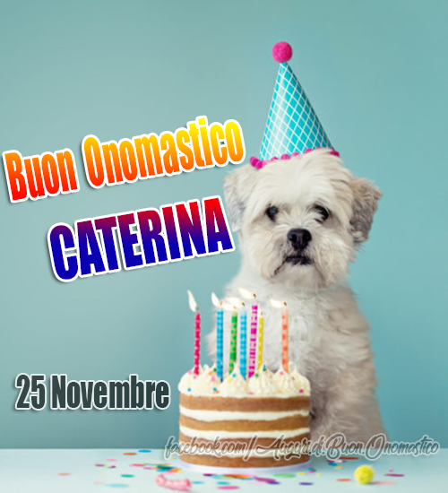 Buon Onomastico Caterina (25 novembre) - Onomastico Caterina (25 novembre). Onomastico del nome Caterina.