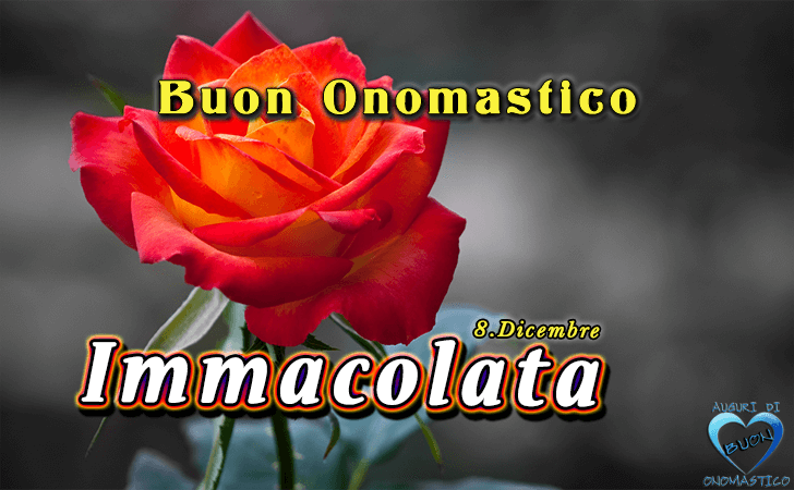 Buon Onomastico Immacolata! - Buon Onomastico Immacolata!