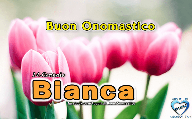 Buon Onomastico Bianca! - Buon Onomastico Bianca!