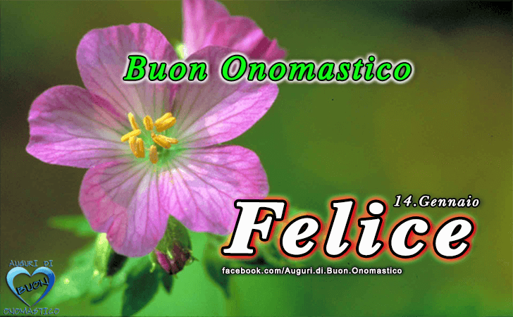 Buon Onomastico Felice!