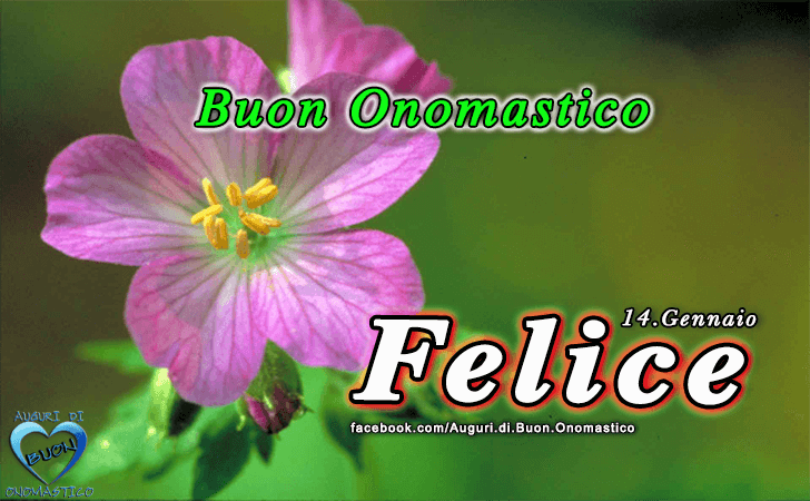 Buon Onomastico Felice! - Buon Onomastico Felice!