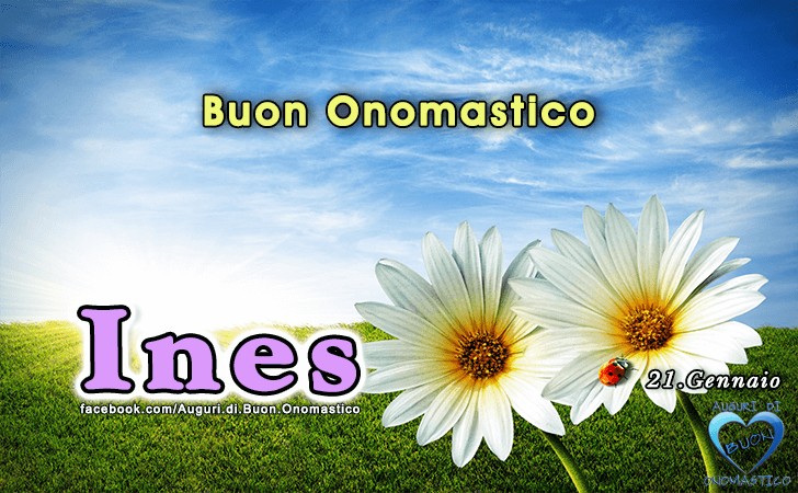 Buon Onomastico Ines!