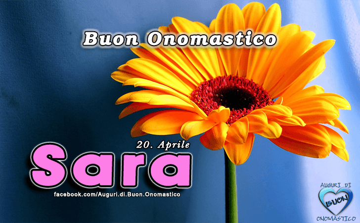 Buon Onomastico Sara! - Buon Onomastico Sara!