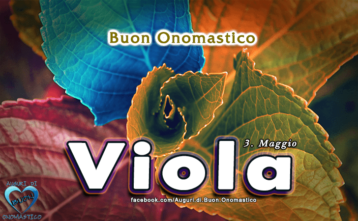 Buon Onomastico Viola - Onomastico del nome Viola 3 maggio