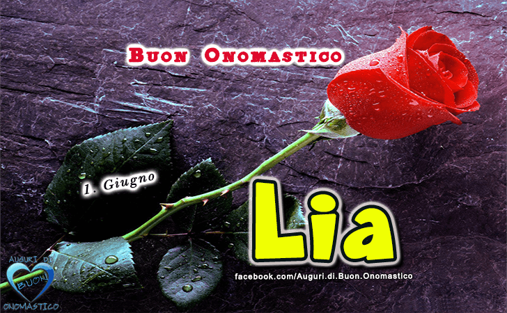 Buon Onomastico Lia! - Buon Onomastico Lia!