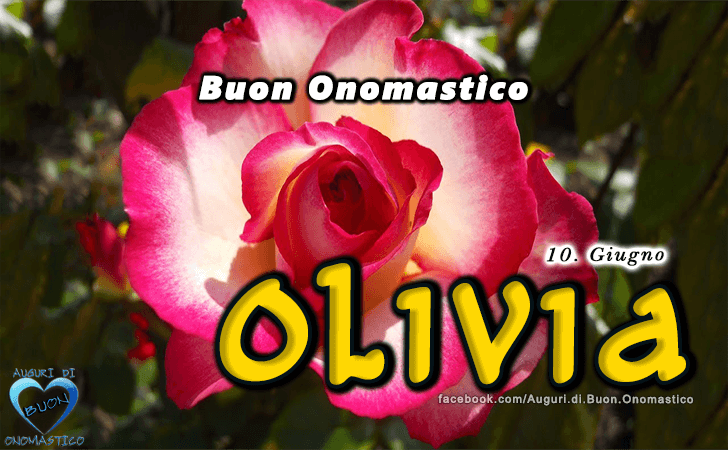 Buon Onomastico Olivia! - Buon Onomastico Olivia!