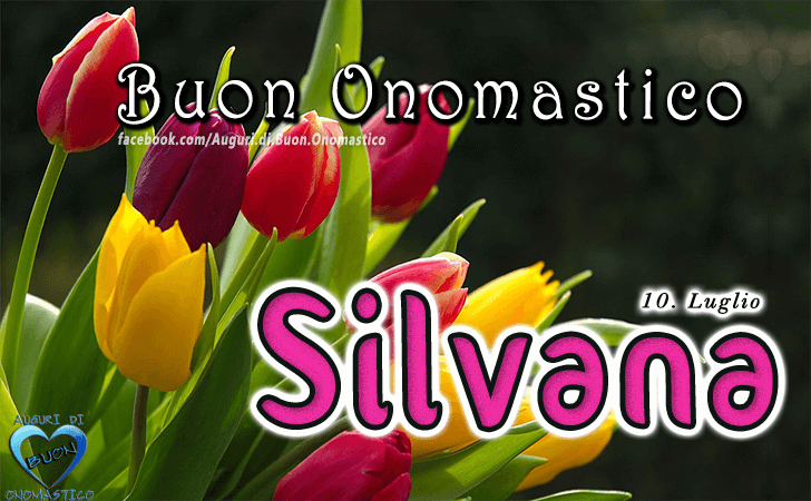 Buon Onomastico Silvana! - Buon Onomastico Silvana!