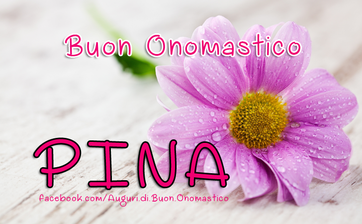 Buon Onomastico Pina - Buon Onomastico Pina - Onomastico del nome Pina