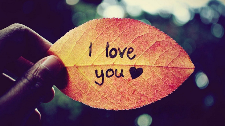 Love | I love you...