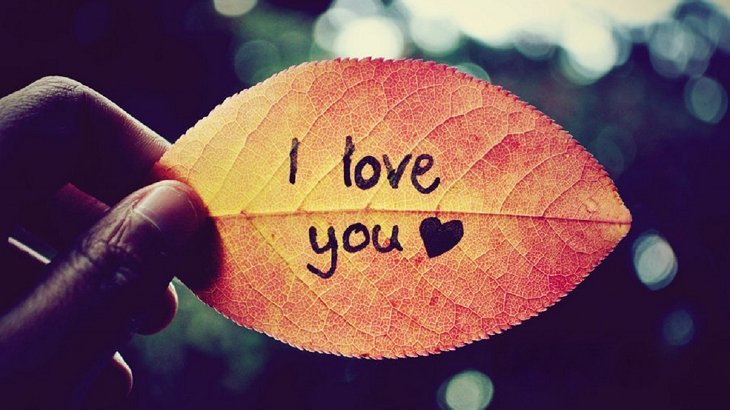 Love is all | I love you...