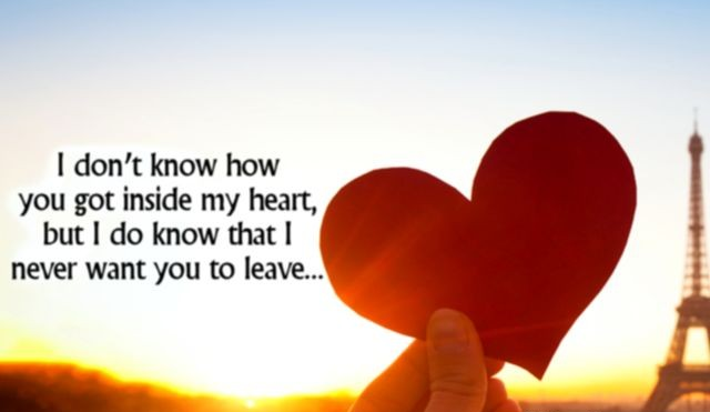 Love is all | I don't know how you got inside my heart, but I do know that I never want you to leave...