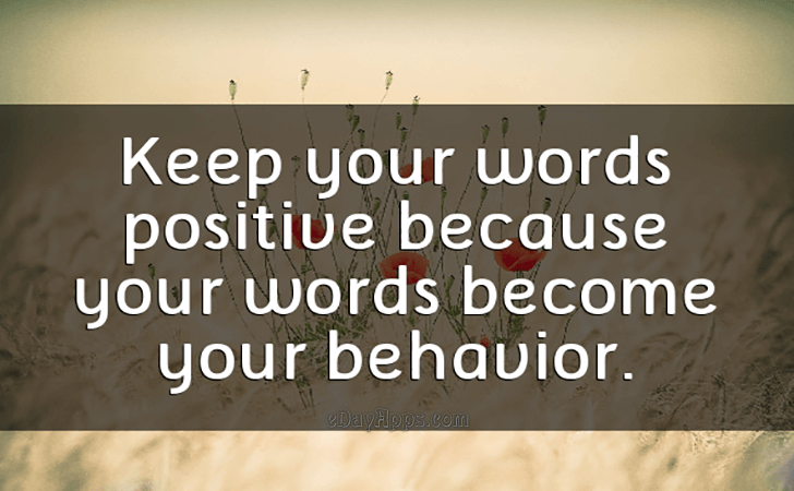 Quotes
