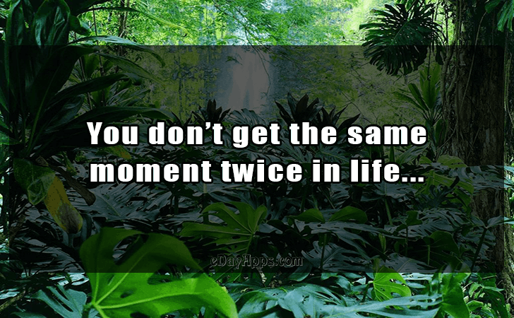 Quotes - best of | You dont get the same
 moment twice in life...