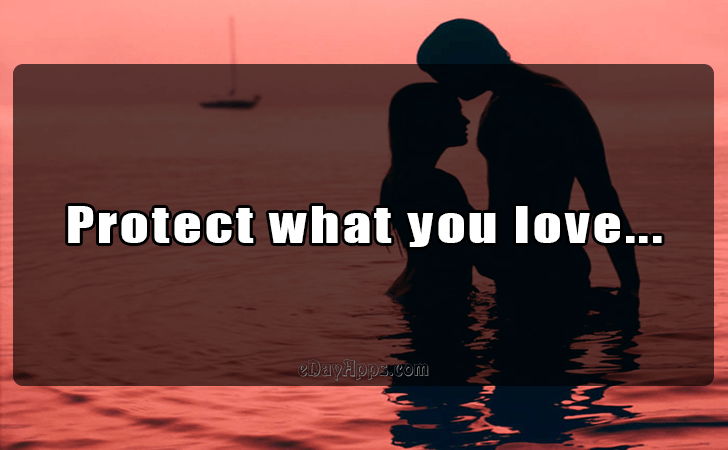 Quotes - best of | Protect what you love...
