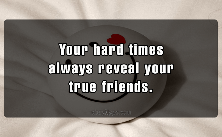 Quotes