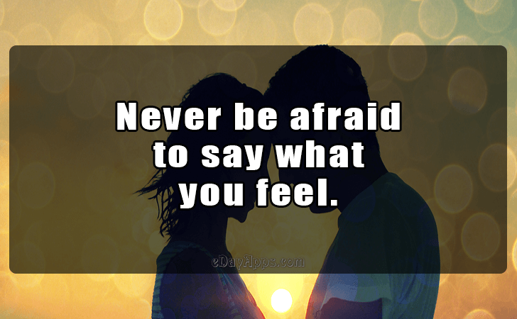 Quotes - best of | Never be afraid 
to say what 
you feel.