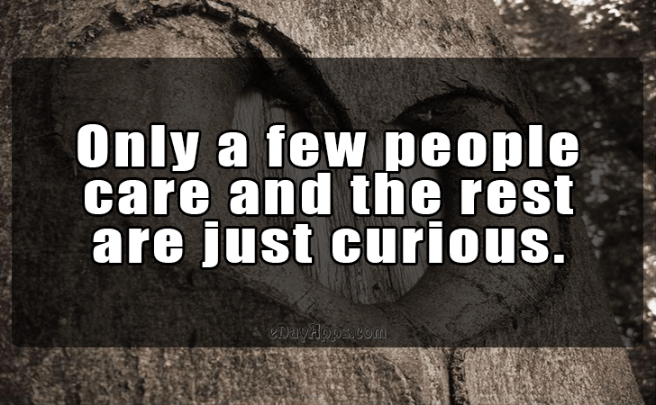 Quotes