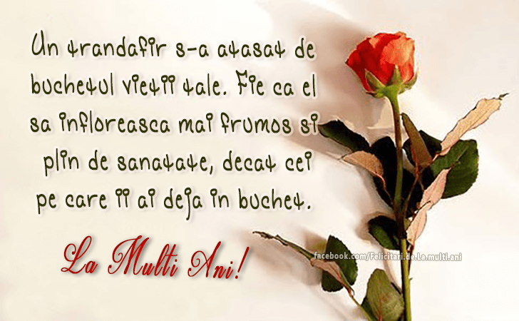 Felicitari de La multi ani | Un trandafir s-a atasat de buchetul vietii tale. Fie ca el sa infloreasca mai frumos si plin de sanatate, decat cei pe care ii ai deja in buchet.