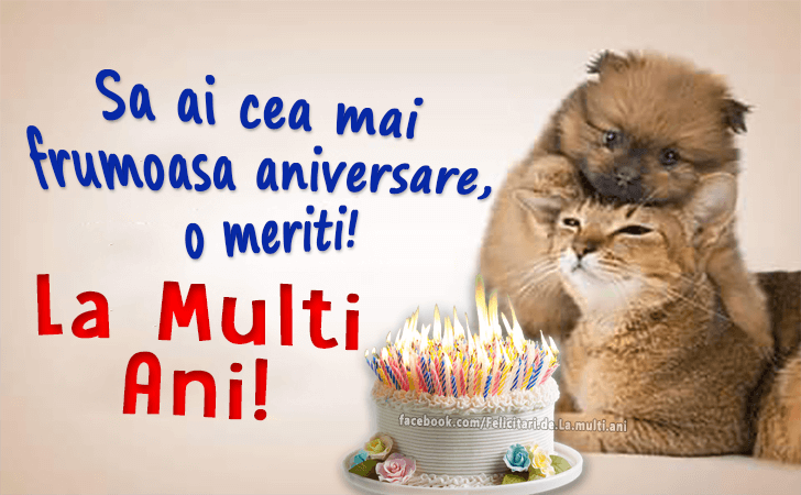 Felicitari de La multi ani | Sa ai cea mai frumoasa aniversare, o meriti! La Multi Ani!