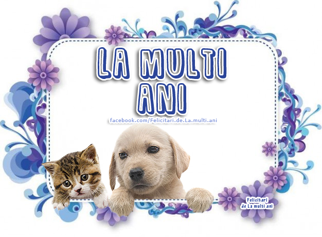 Felicitari de La multi ani | La Multi Ani