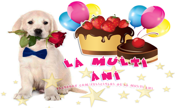 Felicitari de La multi ani | La Multi Ani