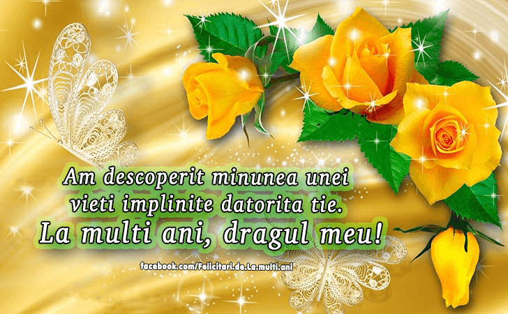 Felicitari de La multi ani | Am descoperit minunea unei vieti implinite datorita tie. La multi ani, dragul meu!