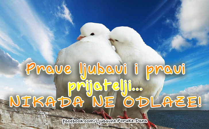 Ljubavne Poruke,  Ljubavne Slike | Prave ljubavi i pravi prijatelji... NIKADA NE ODLAZE!, Prave ljubavi i pravi prijatelji... NIKADA NE ODLAZE!