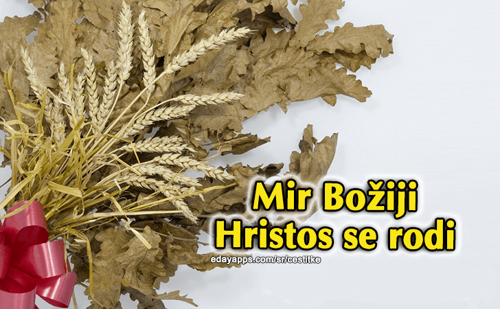 Dobro jutro kućo stara, evo 7. januara. Pod nogama škripi slama, stigao Božić, blago nama. Nek vas Božija svetlost vodi, MIR BOŽIJI, HRISTOS SE RODI! - Božićne Čestitke