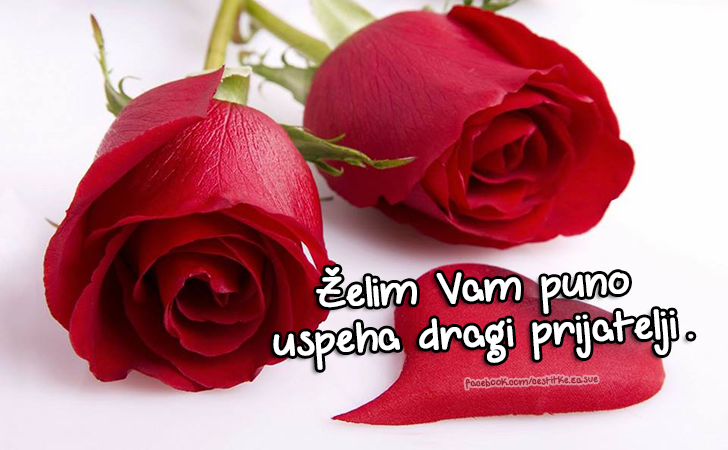 Čestitke za sve prilike | Najlepše Čestitke | Želim Vam puno uspeha dragi prijatelji