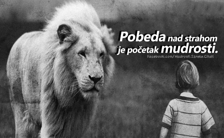 Pozitivne misli | Mudrosti | Izreke | Citati o životu i ljubavi | Istinu upoznajemo..., Istinu upoznajemo ne samo umom, nego i srcem
