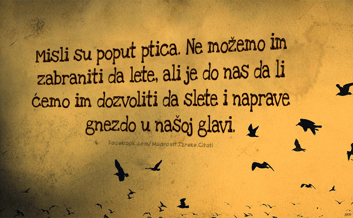 Pozitivne misli | Mudrosti | Izreke | Citati o životu i ljubavi | Život je kao vožnja biciklom..., Život je kao vožnja biciklom, treba neprestano ići napred, bez zaustavljanja, da se ne izgubi ravnoteža.