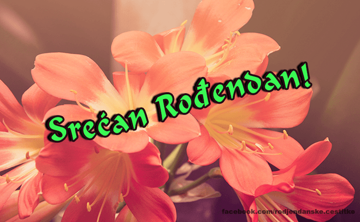 Srecan Rodjendan! - Čestitke, Slike i Poruke za Rođendan