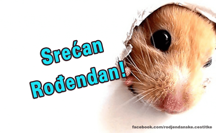 Srecan Rodjendan! - Čestitke, Slike i Poruke za Rođendan