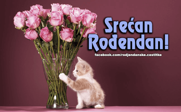 Danas je tvoj dan! - Čestitke, Slike i Poruke za Rođendan