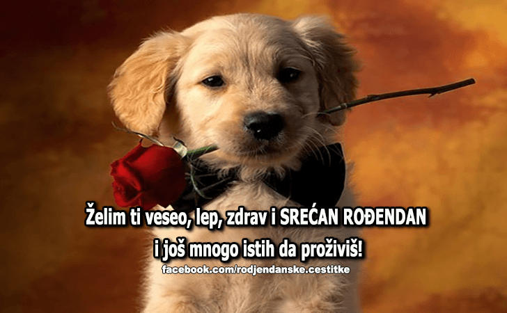 Srecan Rodjendan! - Čestitke, Slike i Poruke za Rođendan