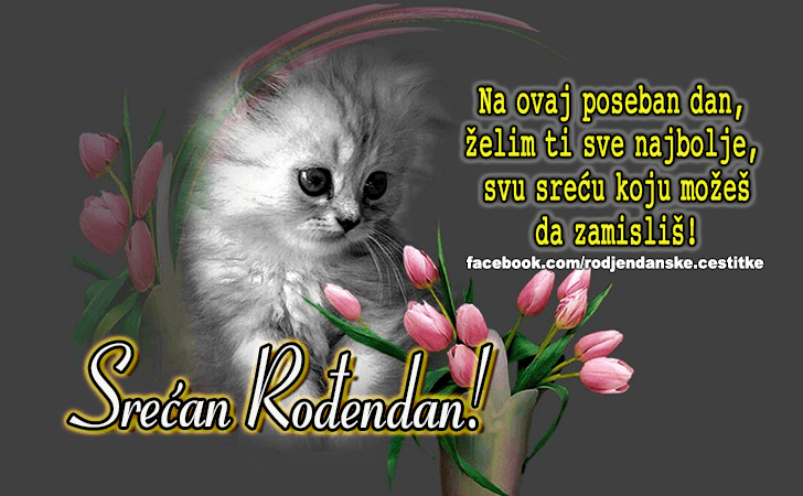 Zelim ti sve najbolje! - Čestitke, Slike i Poruke za Rođendan