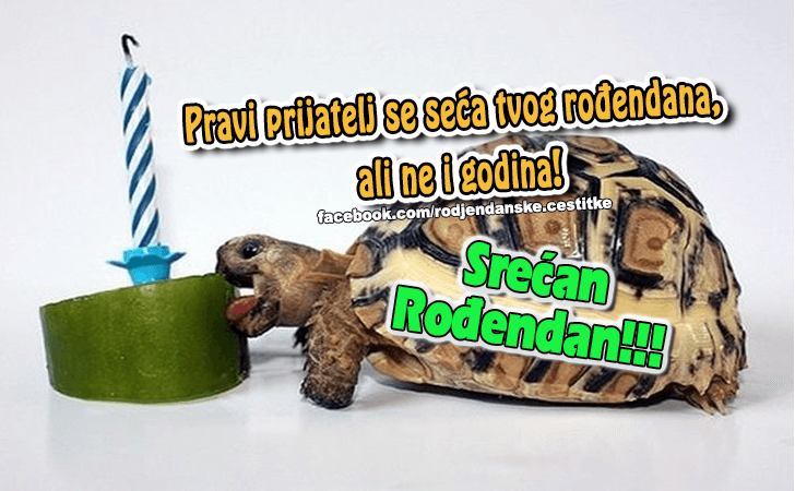 Rođendanske Čestitke (SLIKE) | Pravi prijatelj se seca tvog rodjendana, ali ne i godina!