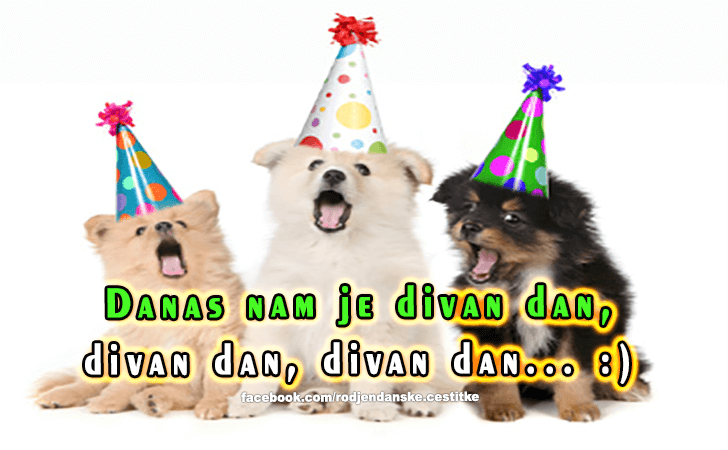 Danas nam je  divan dan... - Čestitke, Slike i Poruke za Rođendan