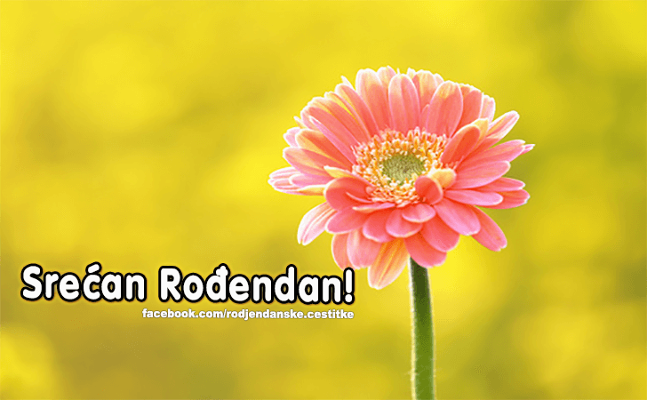 Srecan Rodjendan! - Čestitke, Slike i Poruke za Rođendan