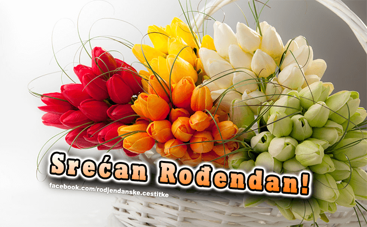 Srecan Rodjendan! - Čestitke, Slike i Poruke za Rođendan