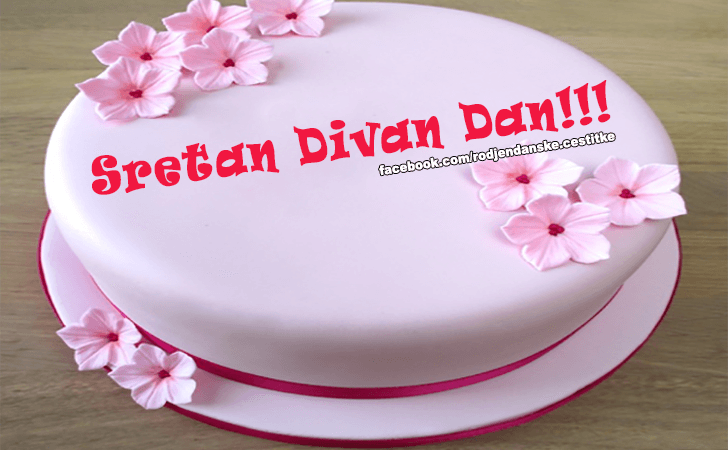 Sretan Divan Dan! - Čestitke, Slike i Poruke za Rođendan