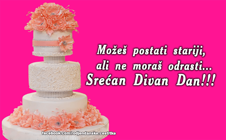 Srecan Divan Dan! - Čestitke, Slike i Poruke za Rođendan