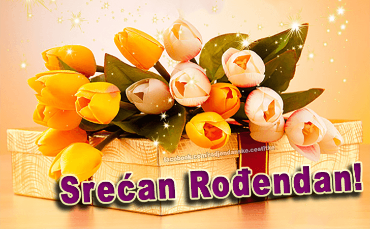 Srećan Rođendan! - Čestitke, Slike i Poruke za Rođendan