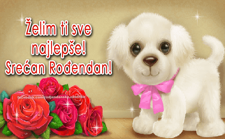 Želim ti sve najlepše! - Čestitke, Slike i Poruke za Rođendan