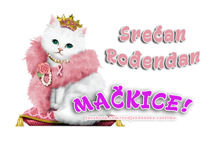Srećan Rođendan Mačkice - Čestitke, Slike i Poruke za Rođendan